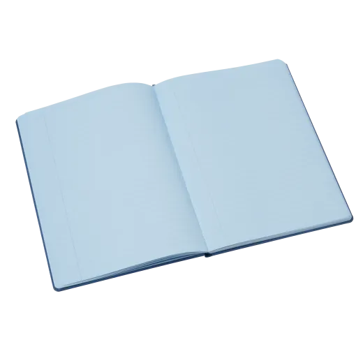 Crossbow Tinted A4 Hardback Notebooks