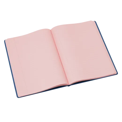 Crossbow Tinted A4 Hardback Notebooks