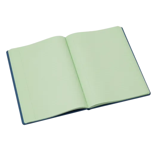 Crossbow Tinted A4 Hardback Notebooks