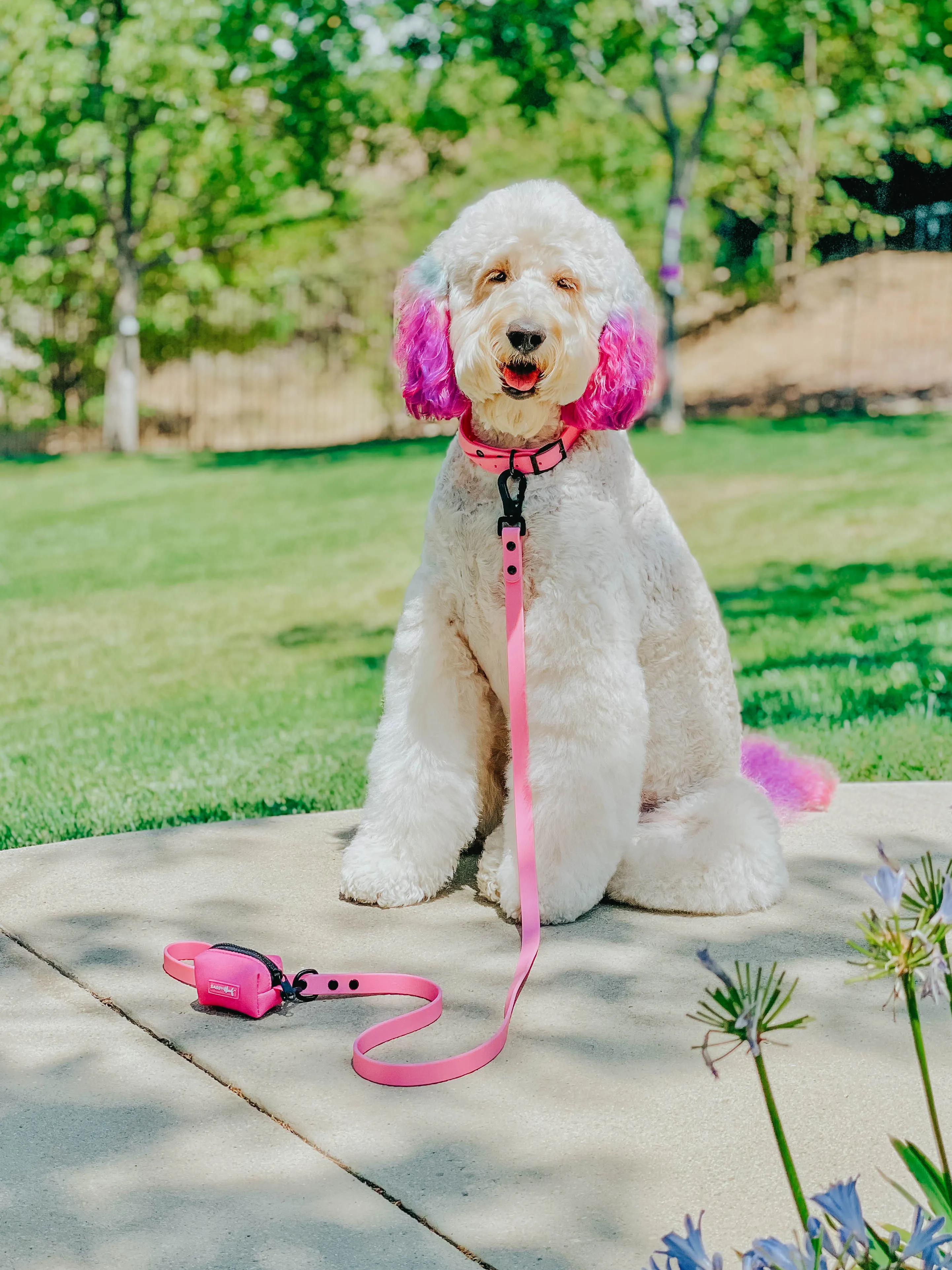 Dog Waterproof Leash - Pink