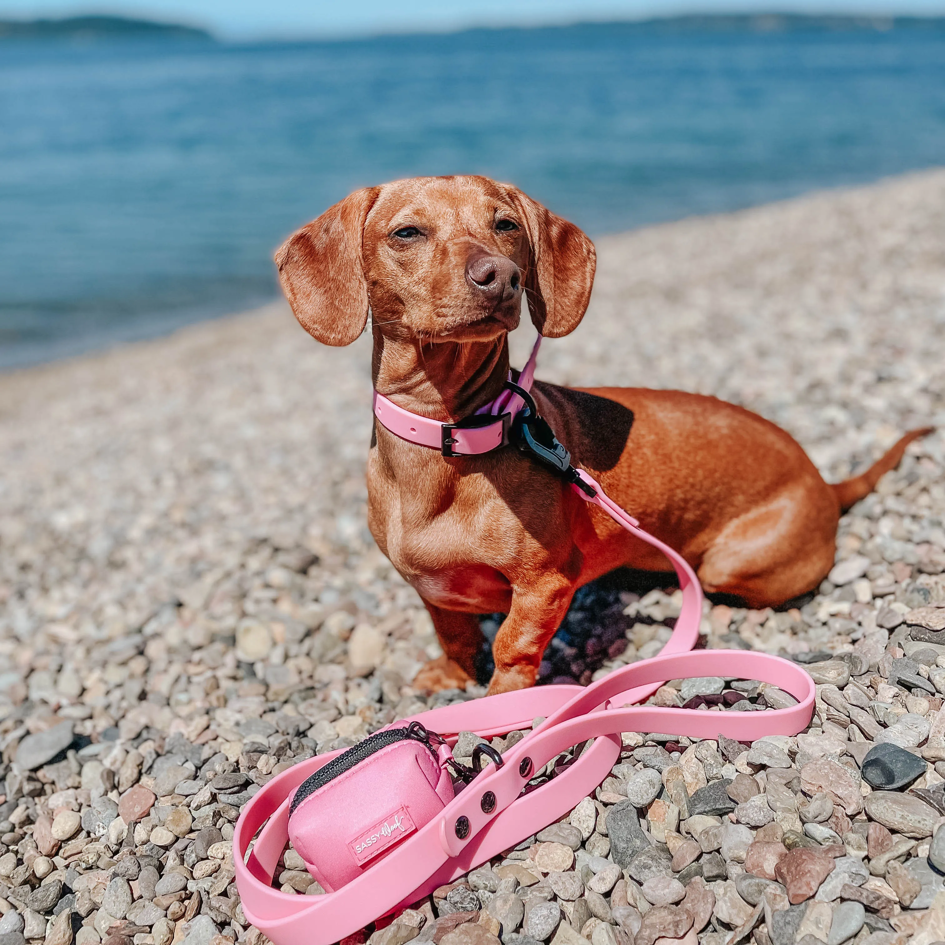 Dog Waterproof Leash - Pink