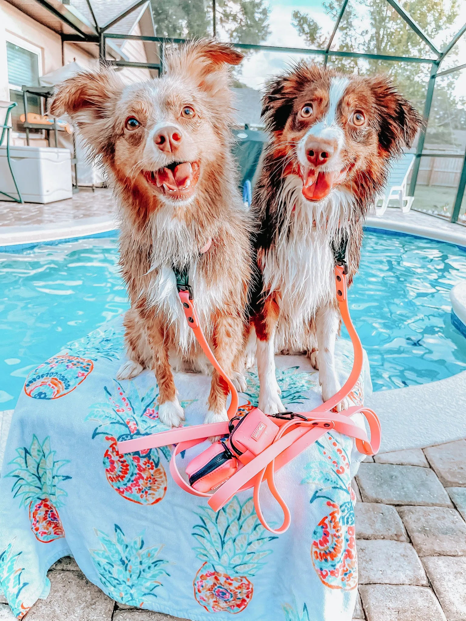 Dog Waterproof Leash - Pink