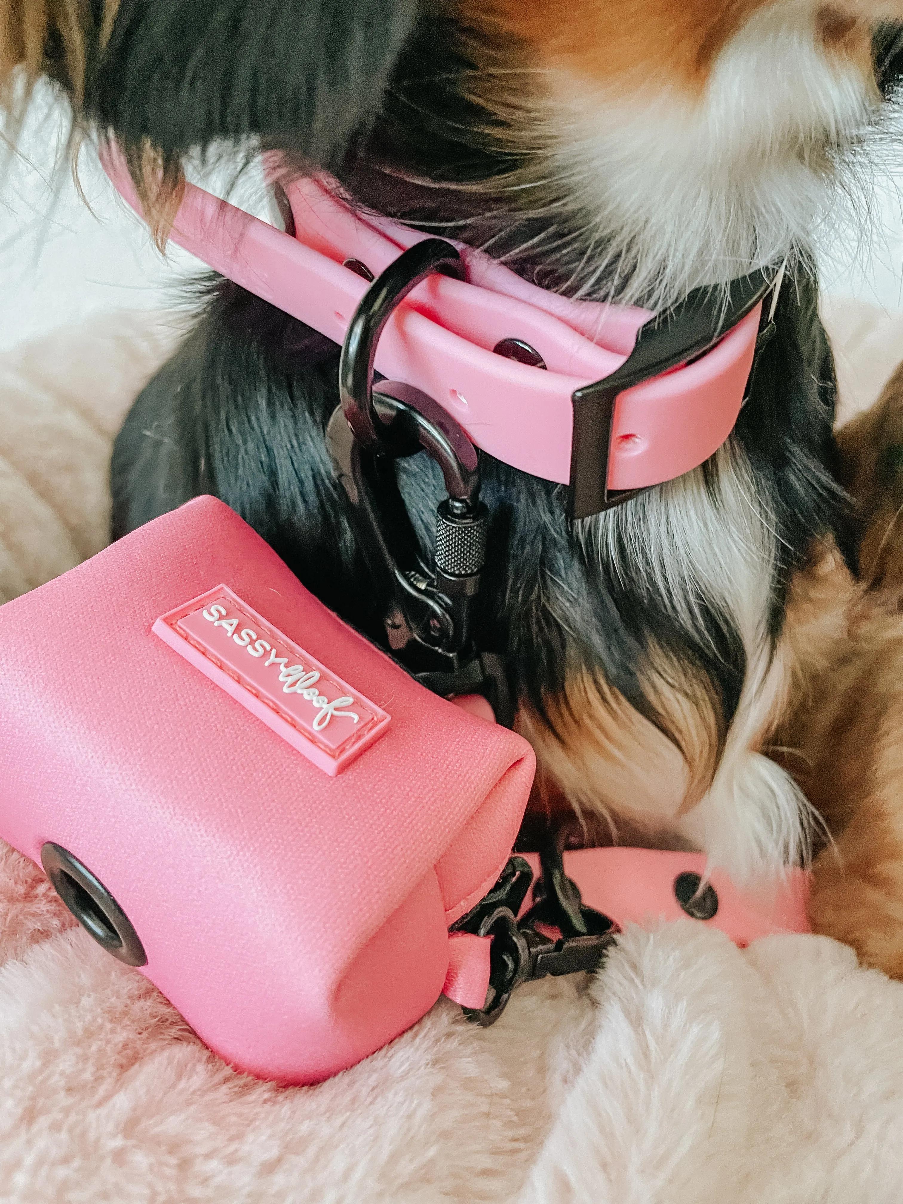 Dog Waterproof Leash - Pink