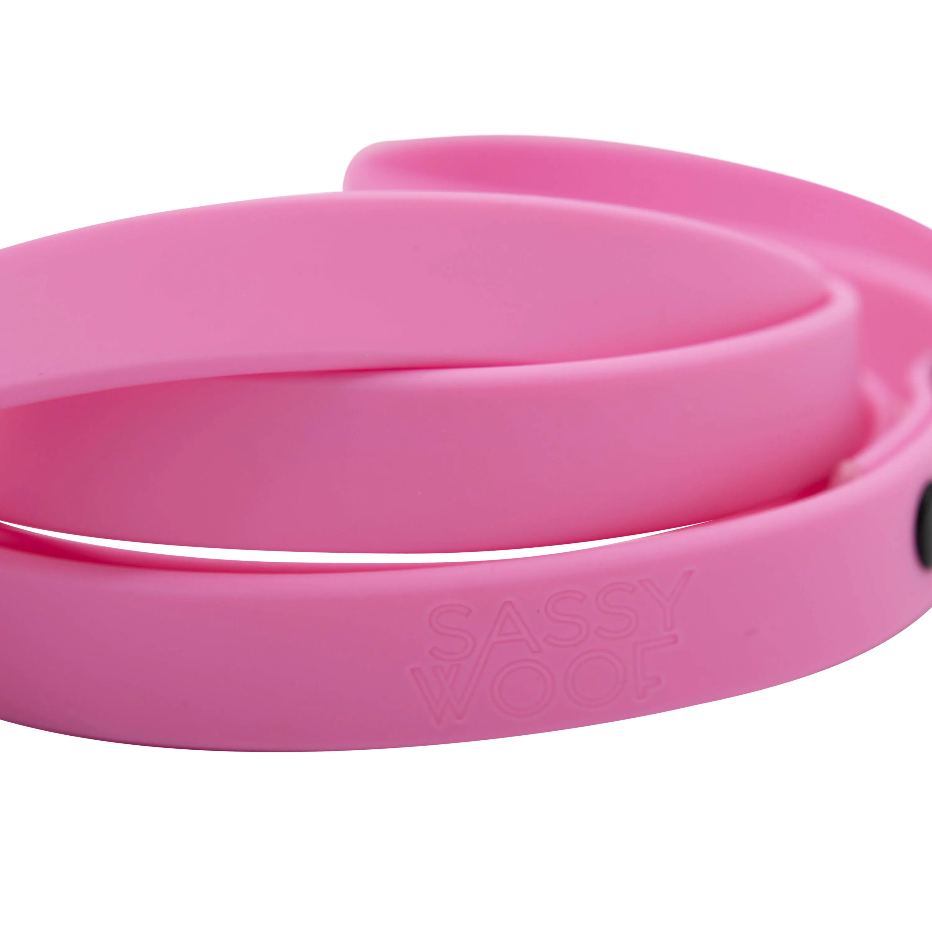 Dog Waterproof Leash - Pink