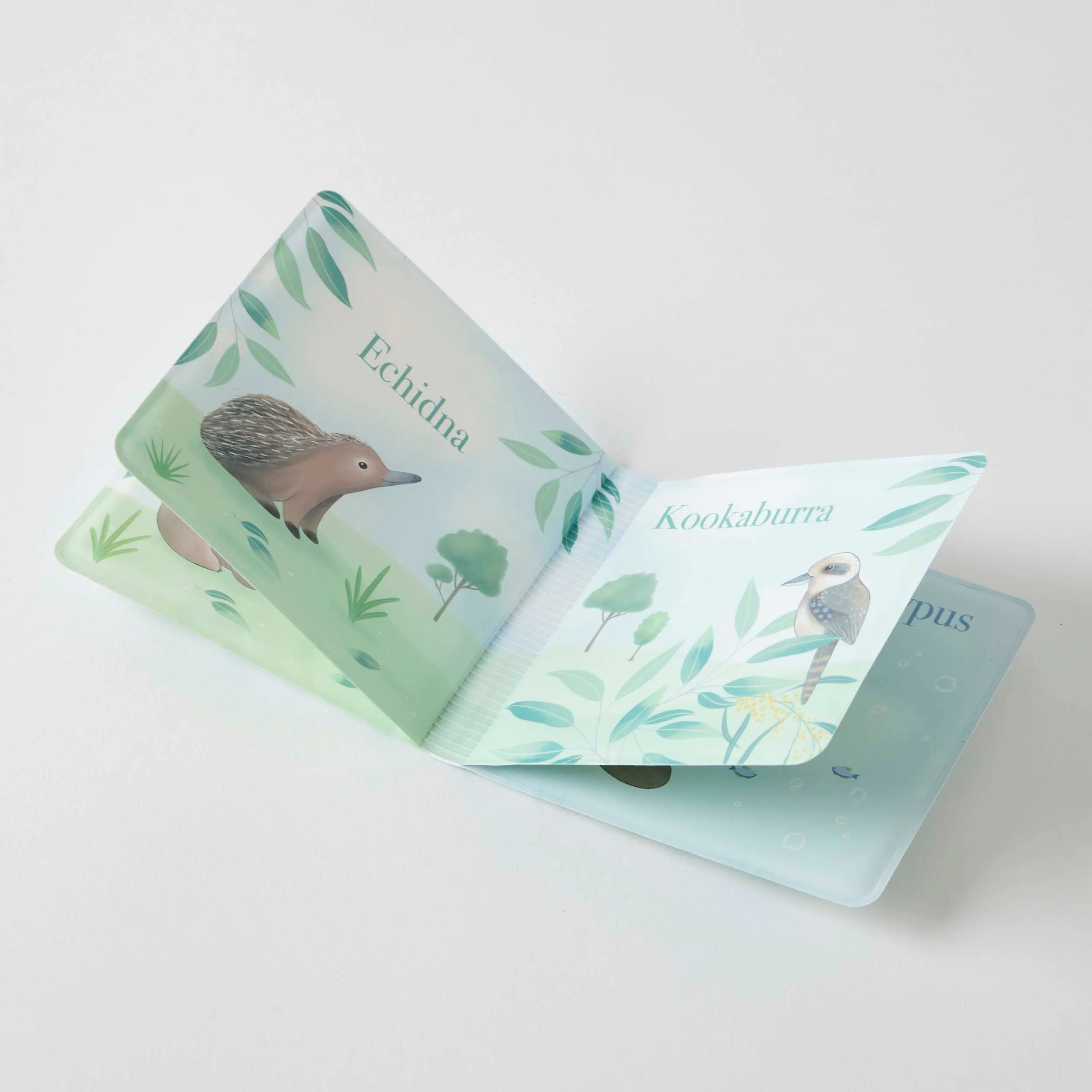 Jiggle & Giggle - Bath Book - Koala Cuddles