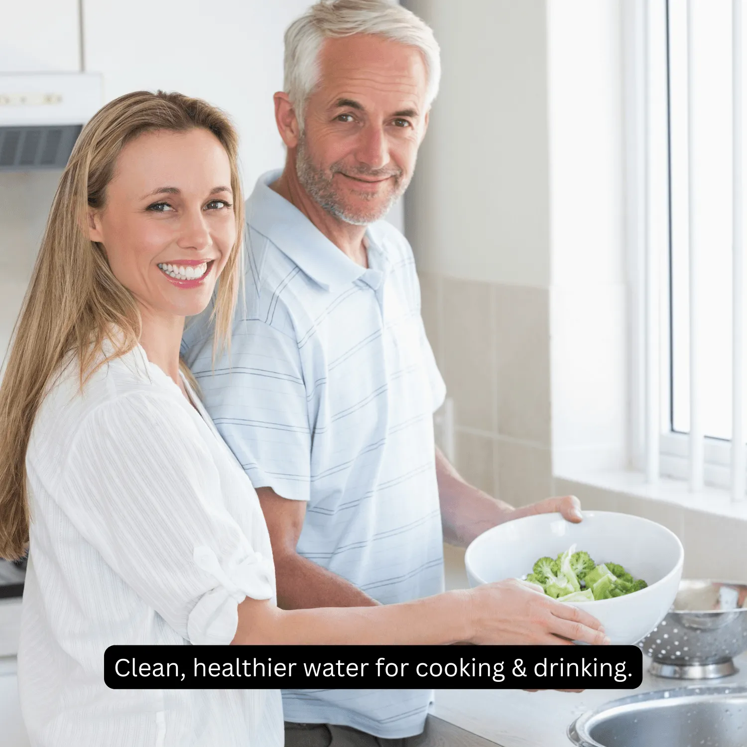 Lifeguard Filter & Softener