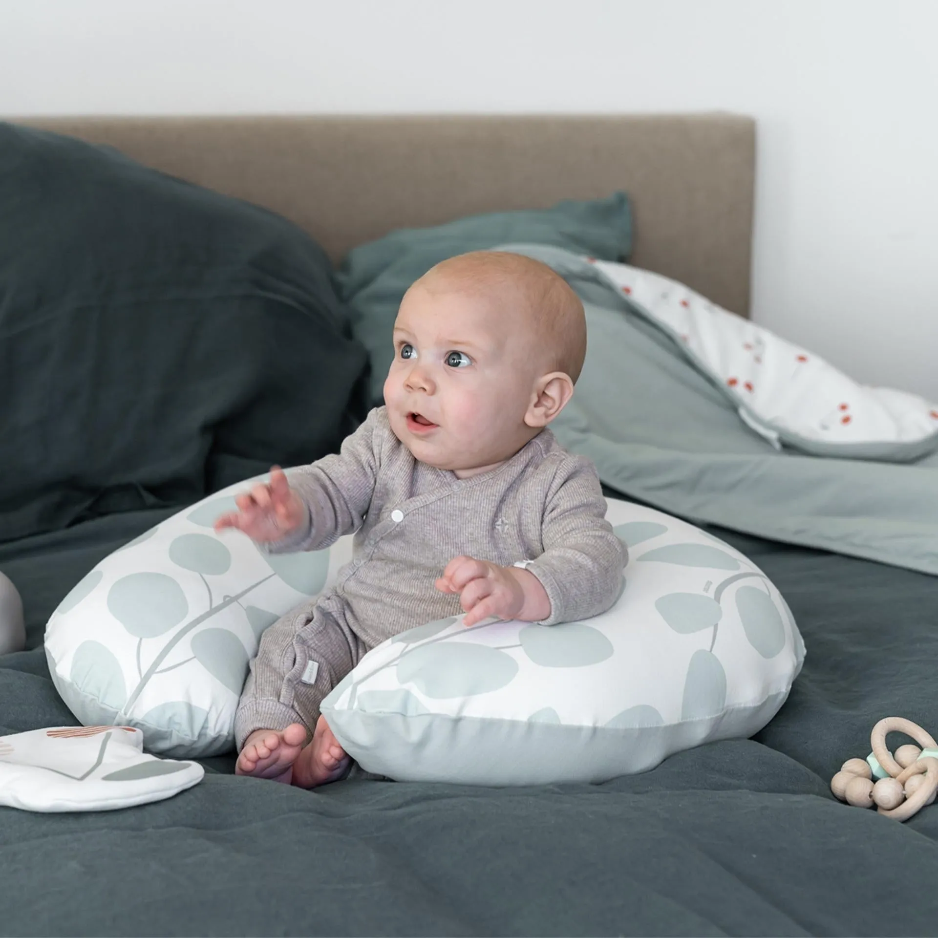 Multi Use Pillow Small Softy