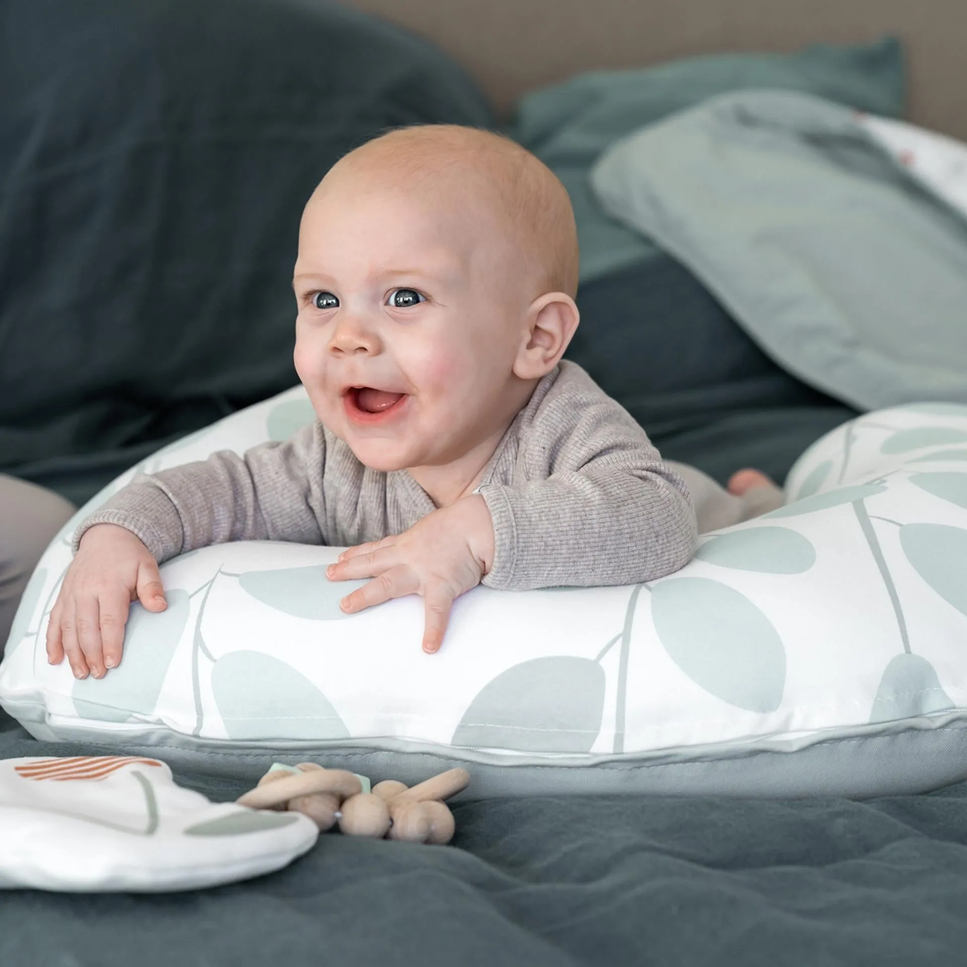 Multi Use Pillow Small Softy