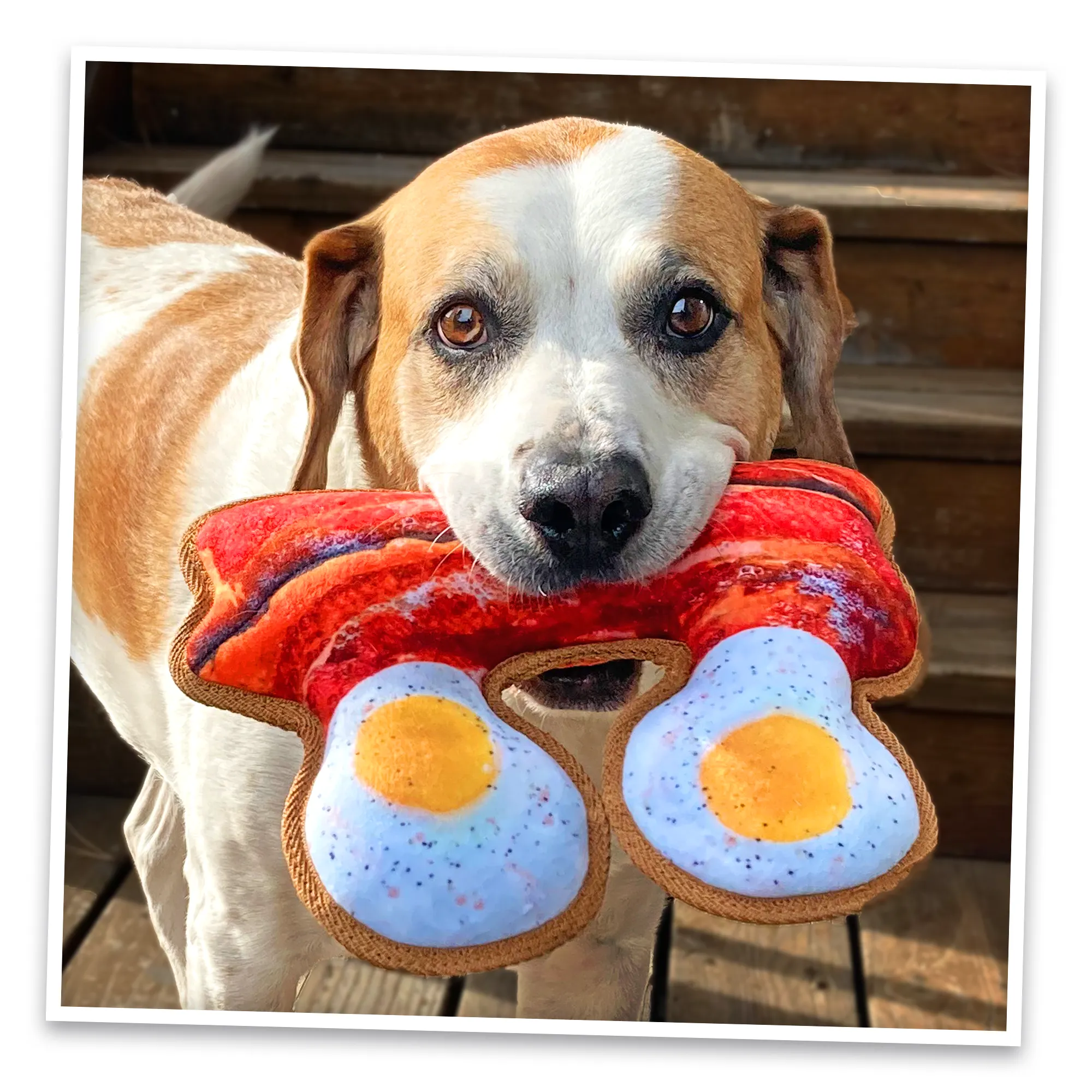 Tuffer Chewer Refillable Eggs and Bacon Toy