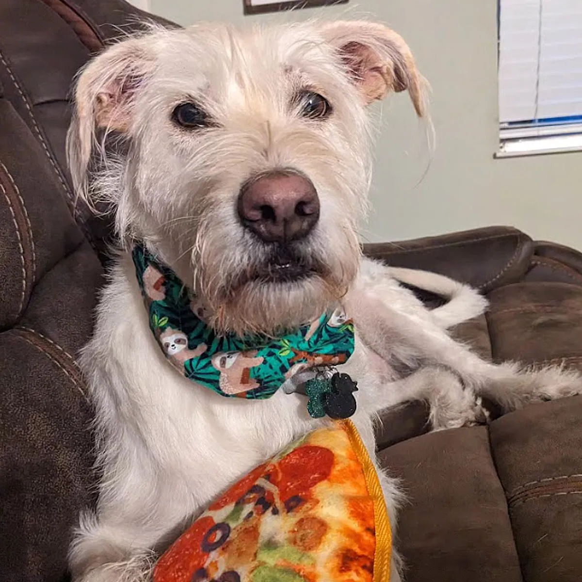 Tuffer Chewer Refillable Supreme Pizza Toy