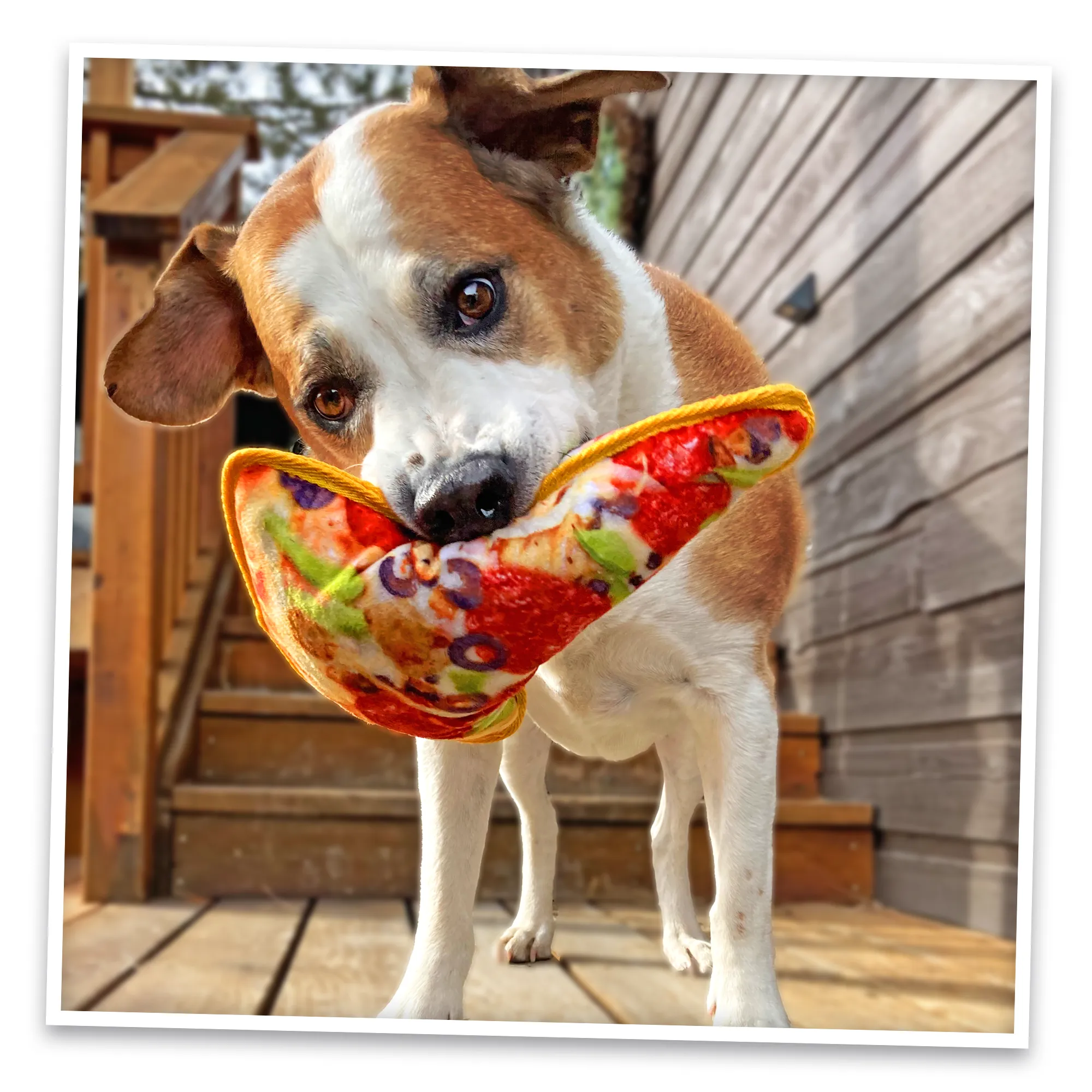 Tuffer Chewer Refillable Supreme Pizza Toy