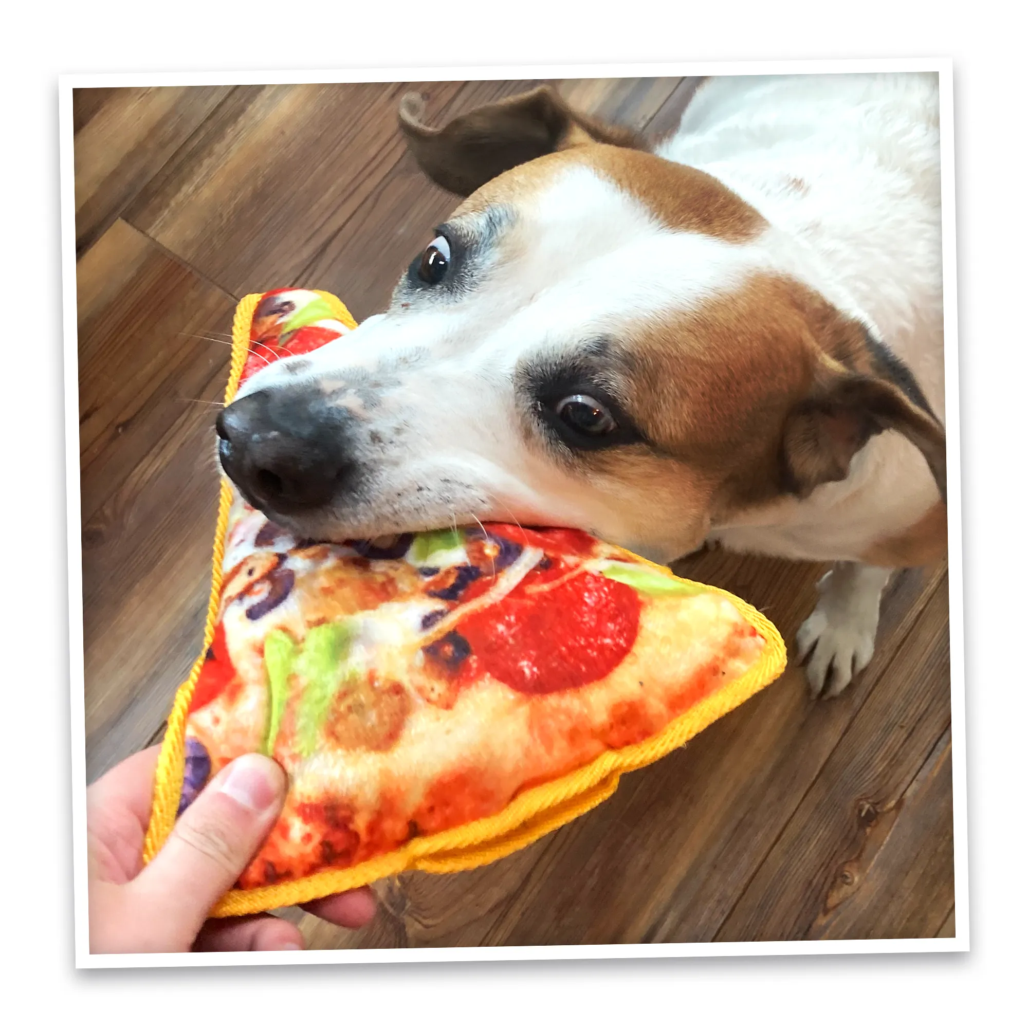 Tuffer Chewer Refillable Supreme Pizza Toy