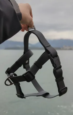 Woof & Stuff Raven Waterproof Adventure Harness
